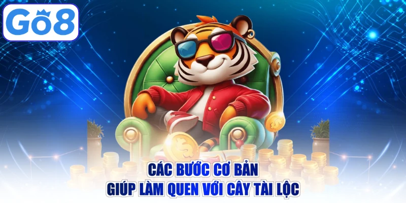 Các bước cơ bản giúp làm quen với Cây Tài Lộc